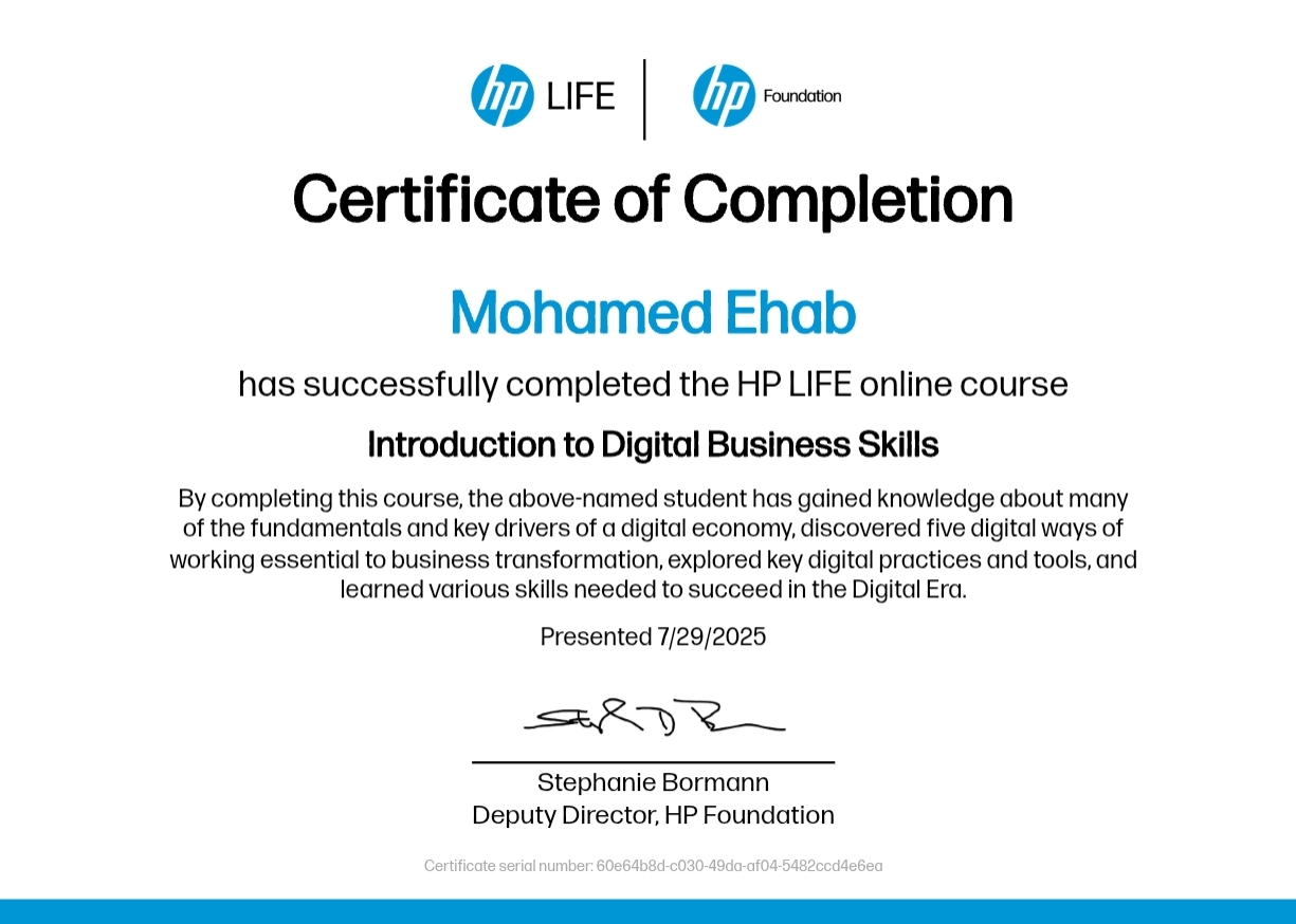 Introduction to Digital Business Skills